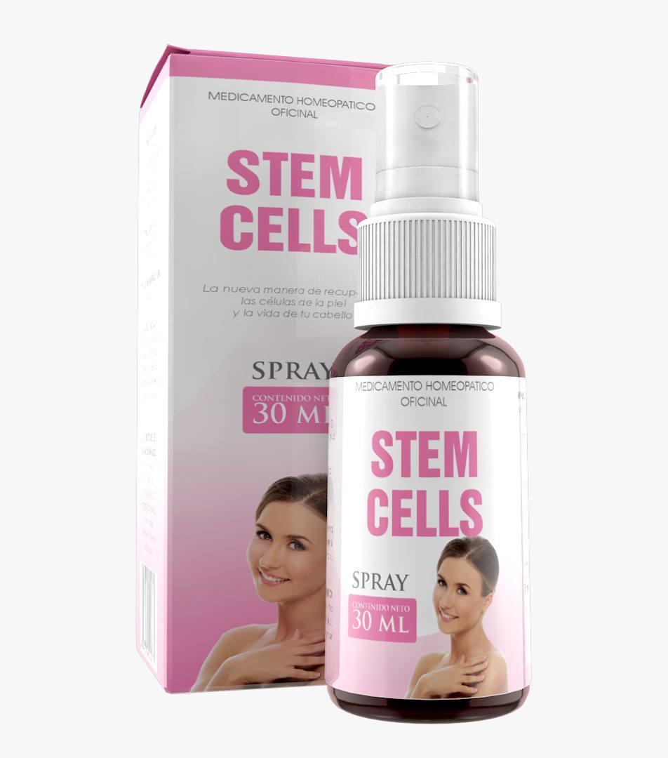 Stem Cells - Image 1